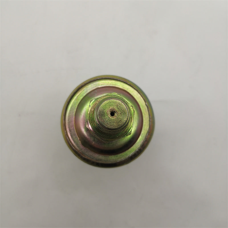 Diselmart 24V 4931169 Oil Pressure Sensor Fits For Cummins 6BT 6CT 8.3L 6LT 6C 6CTA8.3 Engine Diesel