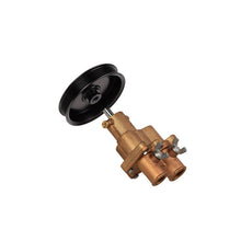 Diselmart Raw Sea Water Pump with Pulley 46-8M0118067 46-862914T10 468M0122655 for Mercury Mercruiser Engine 4.3L 5.0L 5.7L 6.2L 350 357 383 MAG MPI