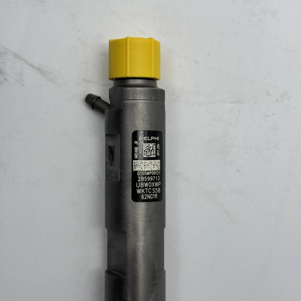 Diselmart 1100100-ED95 28599713 Common Rail Injector Nozzle for Delphi Great Wall poer